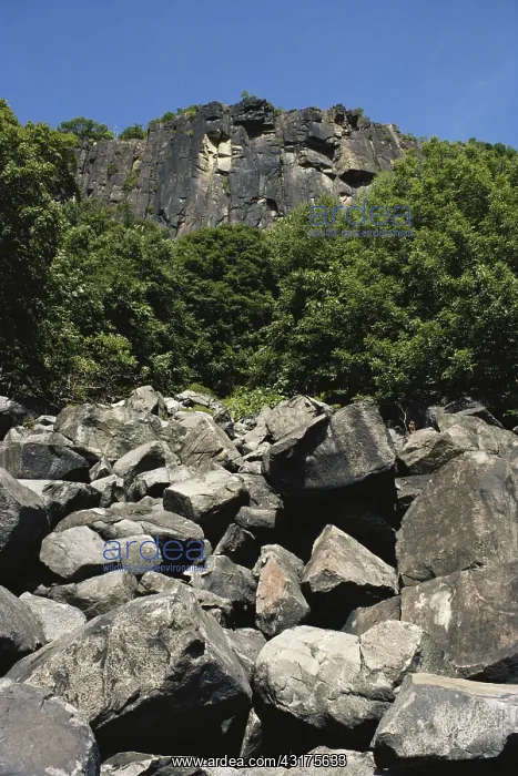 : Talus below the Palisades : Talus below the Palisades