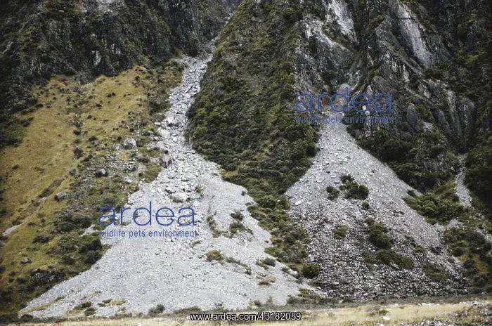 : Talus Slopes, New Zealand : Talus Slopes, New Zealand