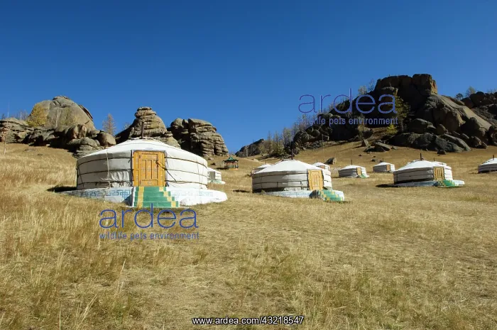 : Tamir Gher camp : Tamir Gher camp
