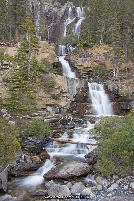  : Tangle Falls