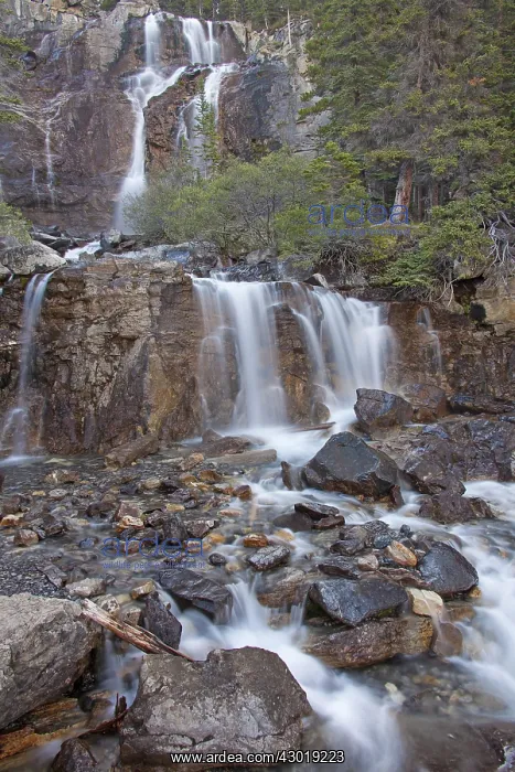  : Tangle Falls