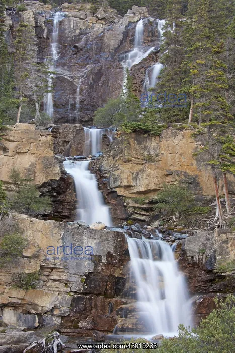  : Tangle Falls