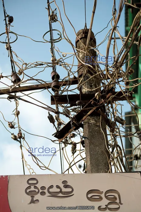 : Tangled electricity cables : Tangled electricity cables