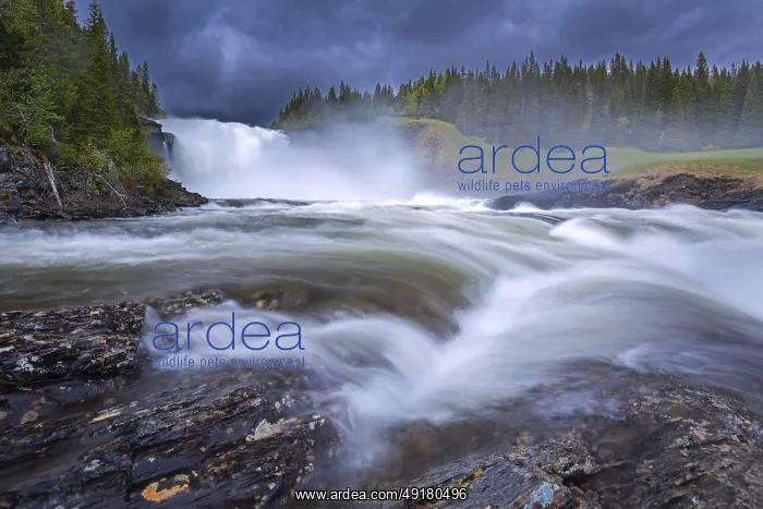 : Tannforsen falls in spring near Are on the Indalsalven River : Tannforsen falls in spring near Are on the Indalsalven River