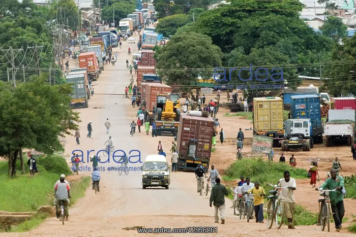 : Tanzania - Mbeya suburb near border with Zambia : Tanzania - Mbeya suburb near border with Zambia