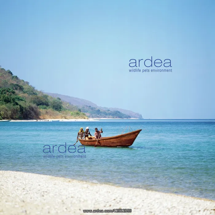 : Tanzania - on the shore of Lake Tanganyika : Tanzania - on the shore of Lake Tanganyika