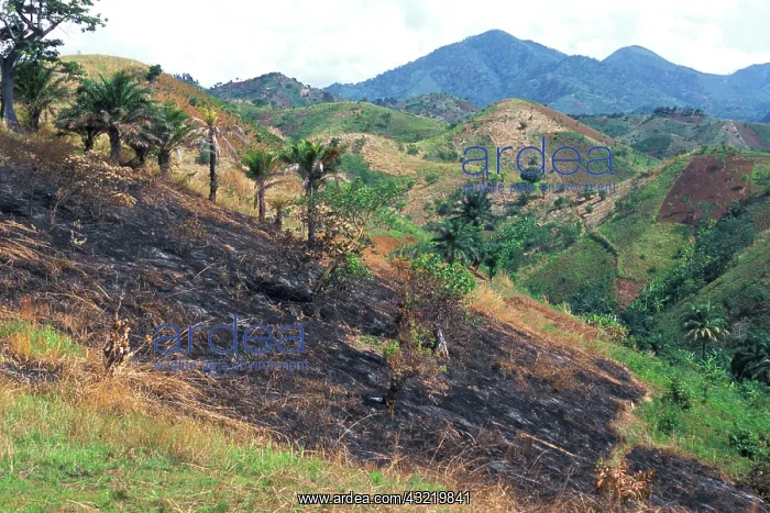 : Tanzania, Western Tanzania. Farmland burned : Tanzania, Western Tanzania. Farmland burned
