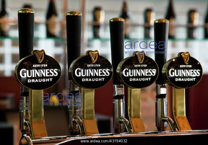 : Taps with the Guinness logo in the Storehouse in : Taps with the Guinness logo in the Storehouse in