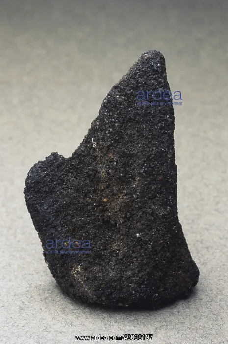  : Tar Sand. Tar sand, a type of oil-bearing sandstone rock in which residual