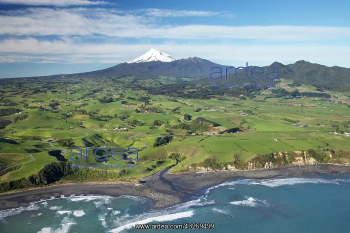 : Taranaki Coastline near New Plymouth, Farmland : Taranaki Coastline near New Plymouth, Farmland