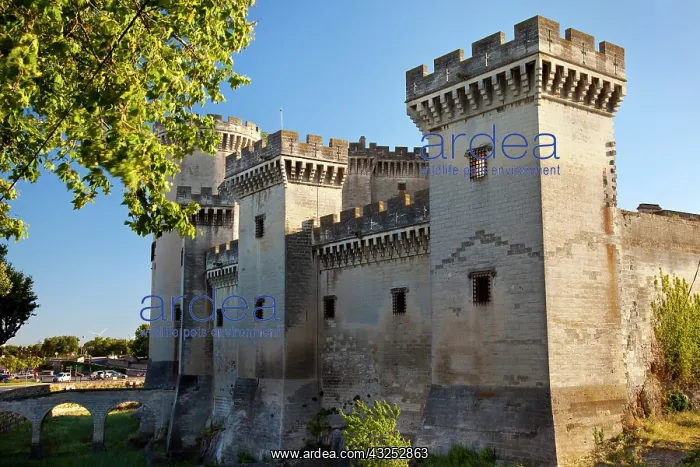 : Tarascon Castle near Arles, Provence, France : Tarascon Castle near Arles, Provence, France