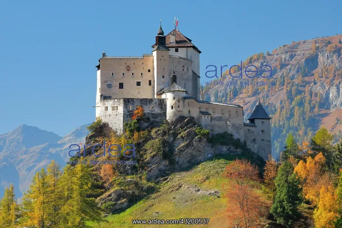 : Tarasp Castle, Graubuenden, Switzerland, Europe : Tarasp Castle, Graubuenden, Switzerland, Europe