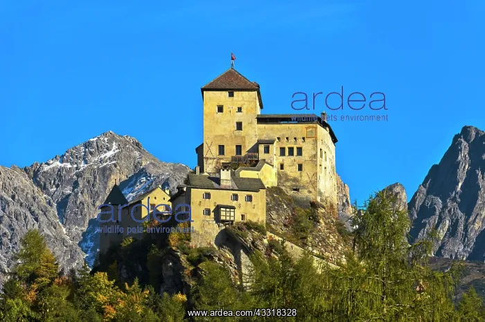 : Tarasp Castle, Tarasp, Scuol, Lower Engadine, Grisons : Tarasp Castle, Tarasp, Scuol, Lower Engadine, Grisons