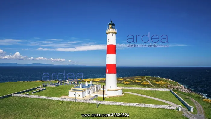 : Tarbat Ness Lighthouse from a drone, Portmahomack : Tarbat Ness Lighthouse from a drone, Portmahomack