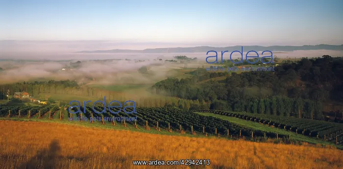  : Tarrawarra Winery.Yarra Valley, Victoria, Australia