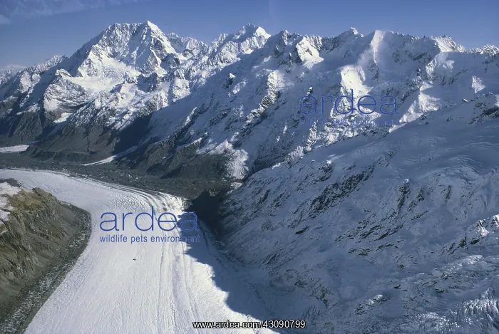 : Tasman Glacier : Tasman Glacier