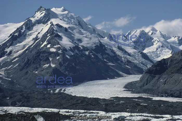 : Tasman Glacier : Tasman Glacier