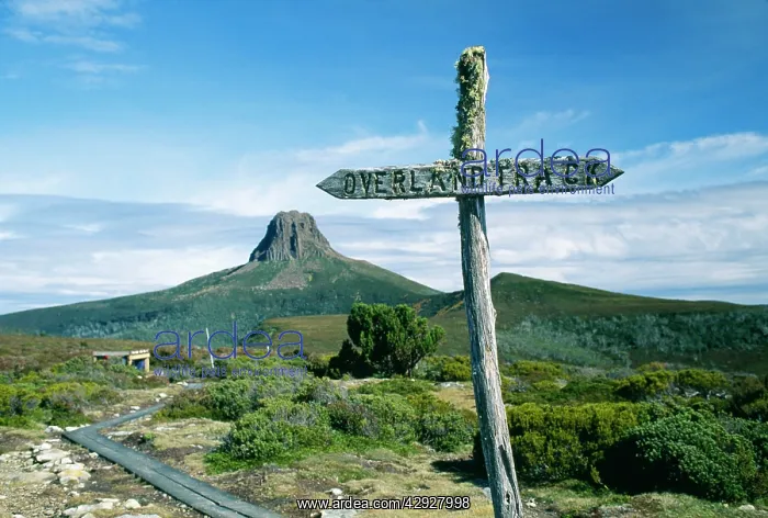 : TASMANIA - Cradle Mountain. Barn Bluff and the : TASMANIA - Cradle Mountain. Barn Bluff and the