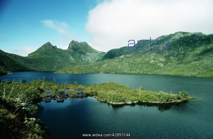 : TASMANIA - Cradle Mountain and Lake Dove : TASMANIA - Cradle Mountain and Lake Dove