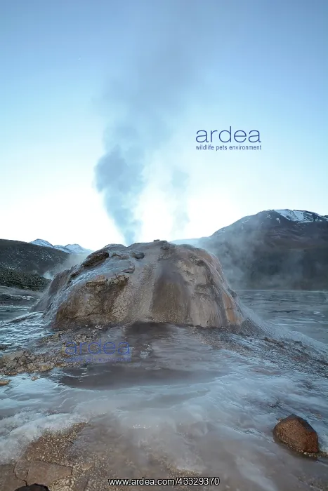 : Tatio Geysers at dawn, Puna de Atacama, near San : Tatio Geysers at dawn, Puna de Atacama, near San
