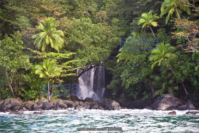 : Tavoro National Park, Taveuni, Fiji : Tavoro National Park, Taveuni, Fiji