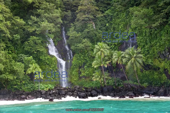  : Tavoro National Park, Taveuni, Fiji