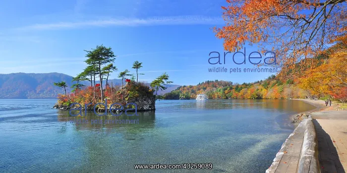 : Tawada lake in autumn north of Honshu Island, Japan : Tawada lake in autumn north of Honshu Island, Japan