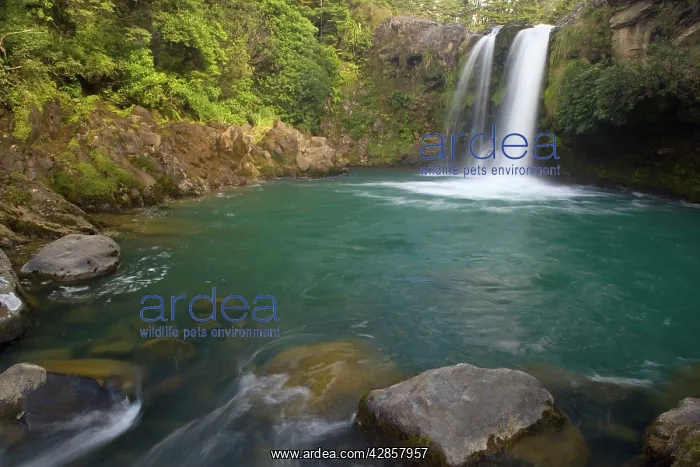 : Tawhai Falls - waters drop down Tawhai Falls into : Tawhai Falls - waters drop down Tawhai Falls into