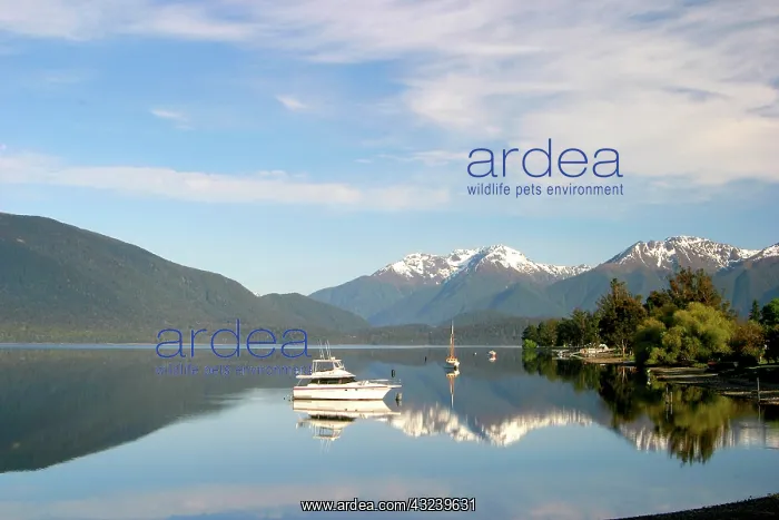 : Te Anau, New Zealand. Lake Te Anau is New : Te Anau, New Zealand. Lake Te Anau is New