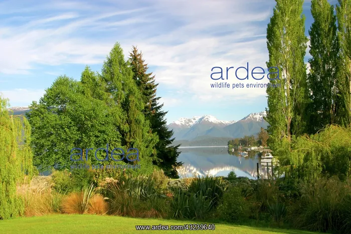  : Te Anau, New Zealand. Lake Te Anau is New