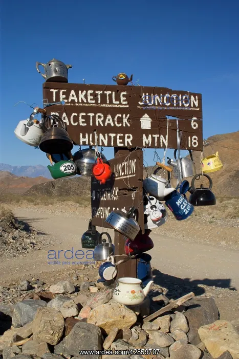 : Teakettle Junction - wooden road sign at Teakettle : Teakettle Junction - wooden road sign at Teakettle
