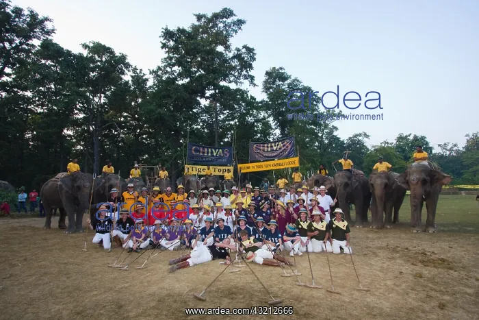 : Teams at the World Elephant Polo Elephant Terai Nepal : Teams at the World Elephant Polo Elephant Terai Nepal