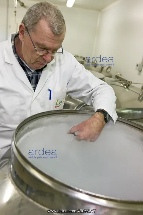 : Technician in an artificial insemination Epinal : Technician in an artificial insemination Epinal