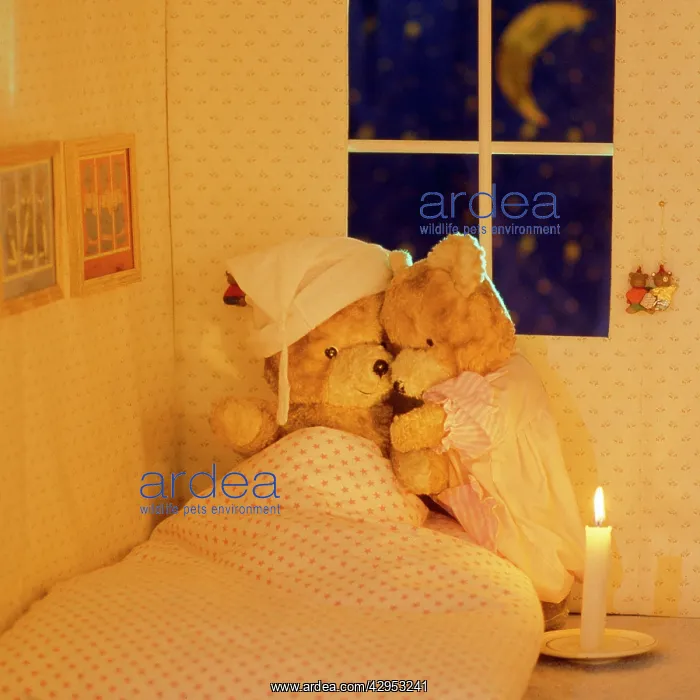  : Teddy Bear - get well