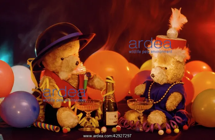 : Teddy Bear - celebration : Teddy Bear - celebration