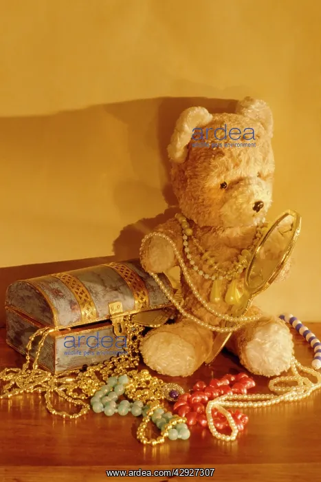  : Teddy Bear - with jewelry