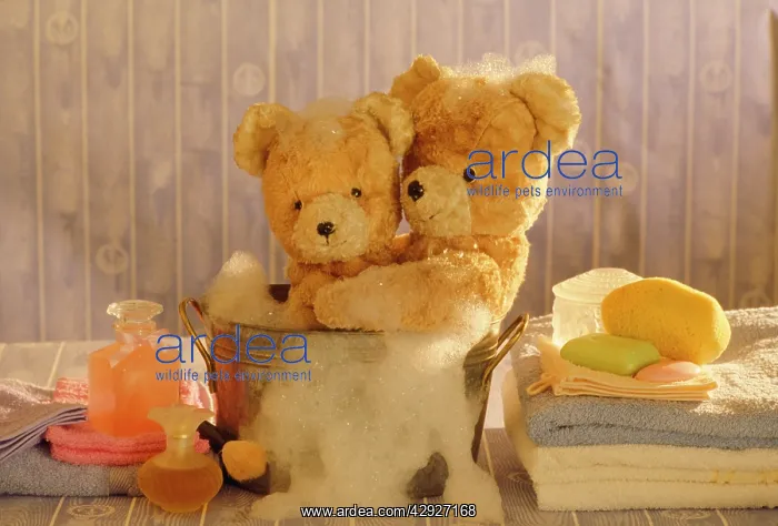 : Teddy Bear - x2 teddies at bathtime : Teddy Bear - x2 teddies at bathtime