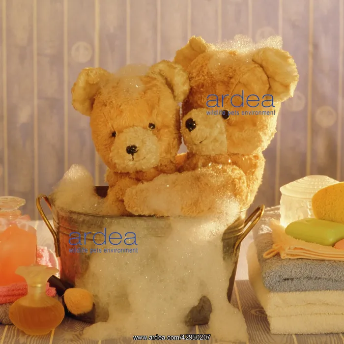 : Teddy Bear - x2 teddies at bathtime : Teddy Bear - x2 teddies at bathtime