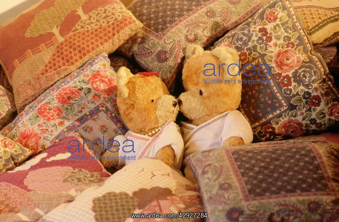 : Teddy Bear - x2 teddies in bed : Teddy Bear - x2 teddies in bed