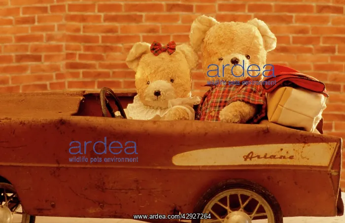  : Teddy Bear - x2 teddies in car