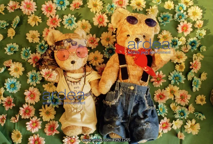  : Teddy Bear - x2 teddies in flowers