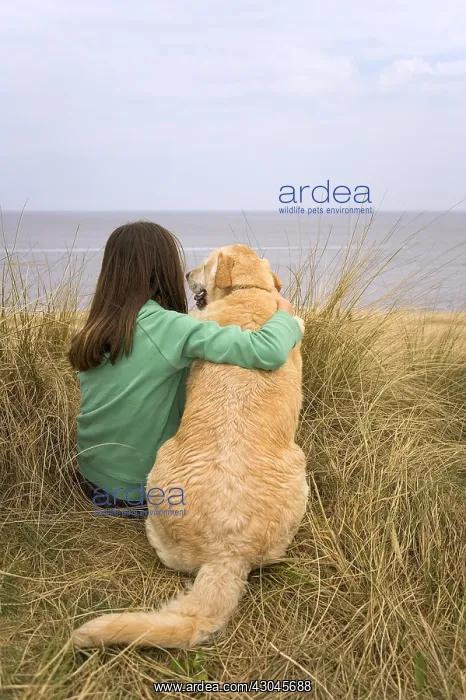 : Teenage girl with labrador dog on sand dunes - Norfolk UK : Teenage girl with labrador dog on sand dunes - Norfolk UK