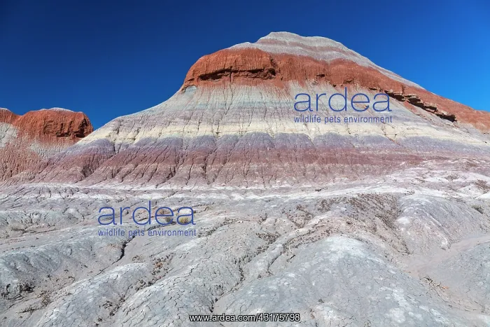 : The Teepees, Badlands, Petrified Forest National : The Teepees, Badlands, Petrified Forest National