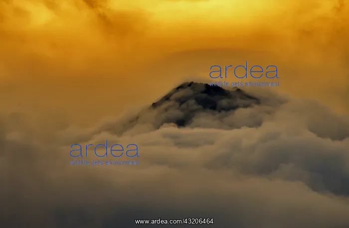  : Teide Volcano, Teide National Park, Island of Tenerife