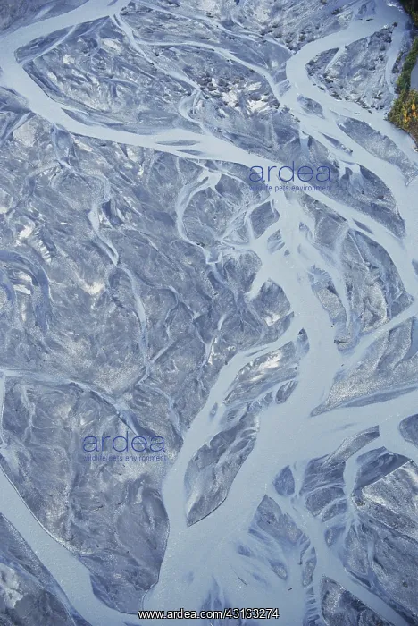 : Teklanika River in Alaska : Teklanika River in Alaska