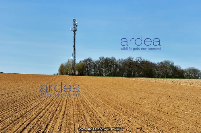 : Telecommunication tower in the countryside at Luzarches : Telecommunication tower in the countryside at Luzarches