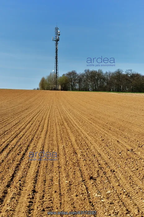 : Telecommunication tower in the countryside at Luzarches : Telecommunication tower in the countryside at Luzarches