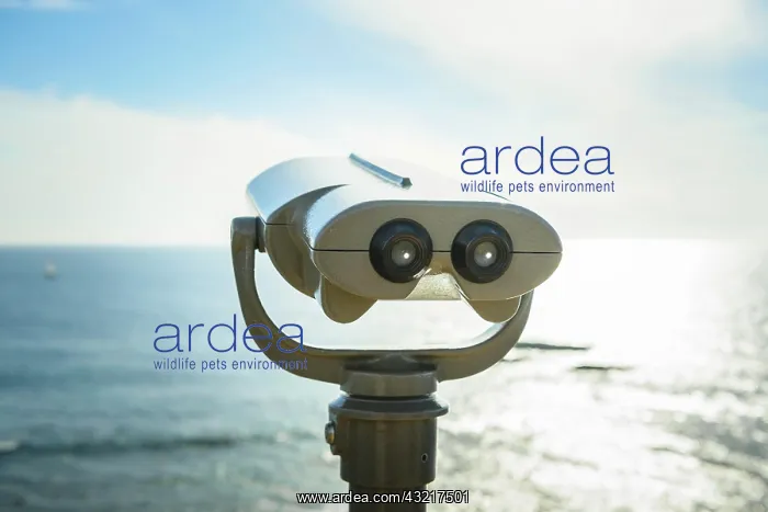 : Telescope aimed at a distance, Crystal Cove State : Telescope aimed at a distance, Crystal Cove State
