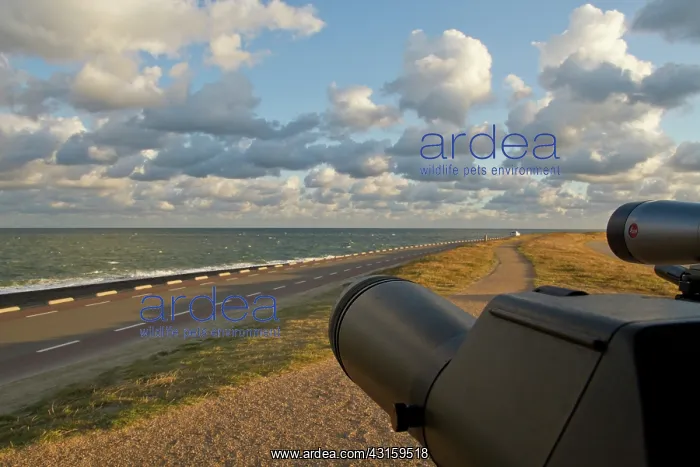 : Telescopes watching over the North sea in autumn : Telescopes watching over the North sea in autumn