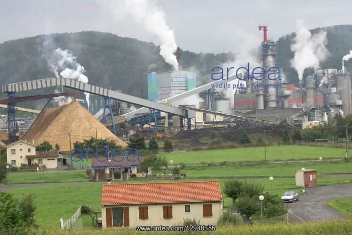: Tembec wood pulp processing factory in Saint-Gaudens : Tembec wood pulp processing factory in Saint-Gaudens